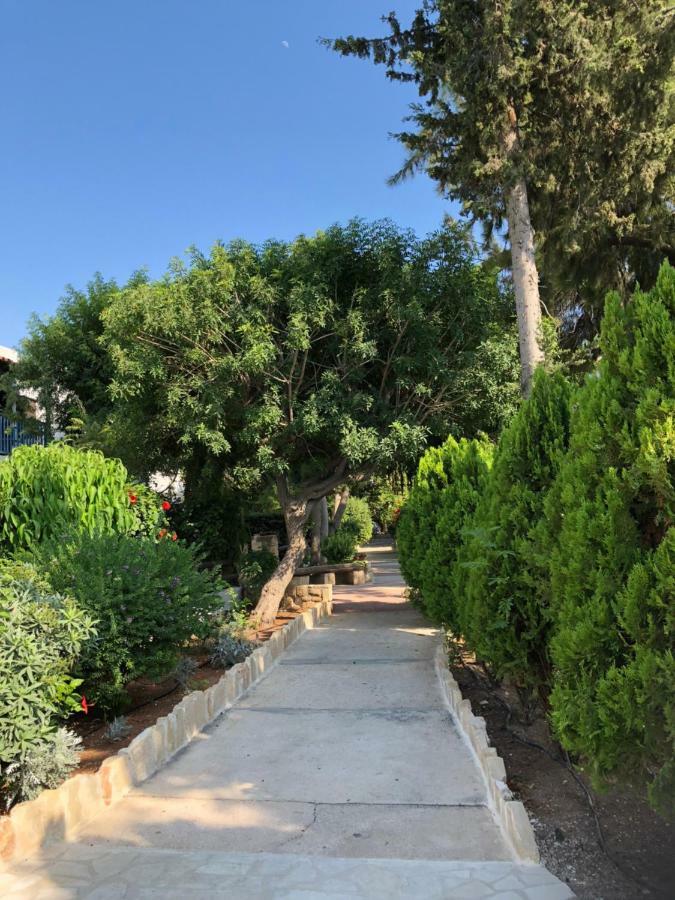 Paphos Gardens Studio Suite Luaran gambar